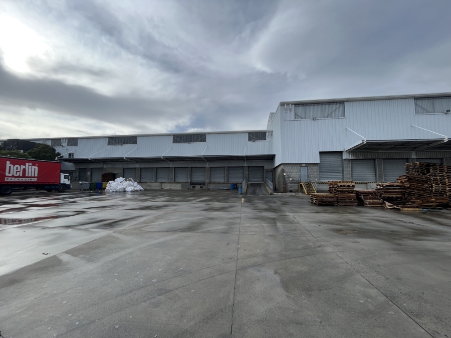 To Let commercial Property for Rent in Montague Gardens Western Cape